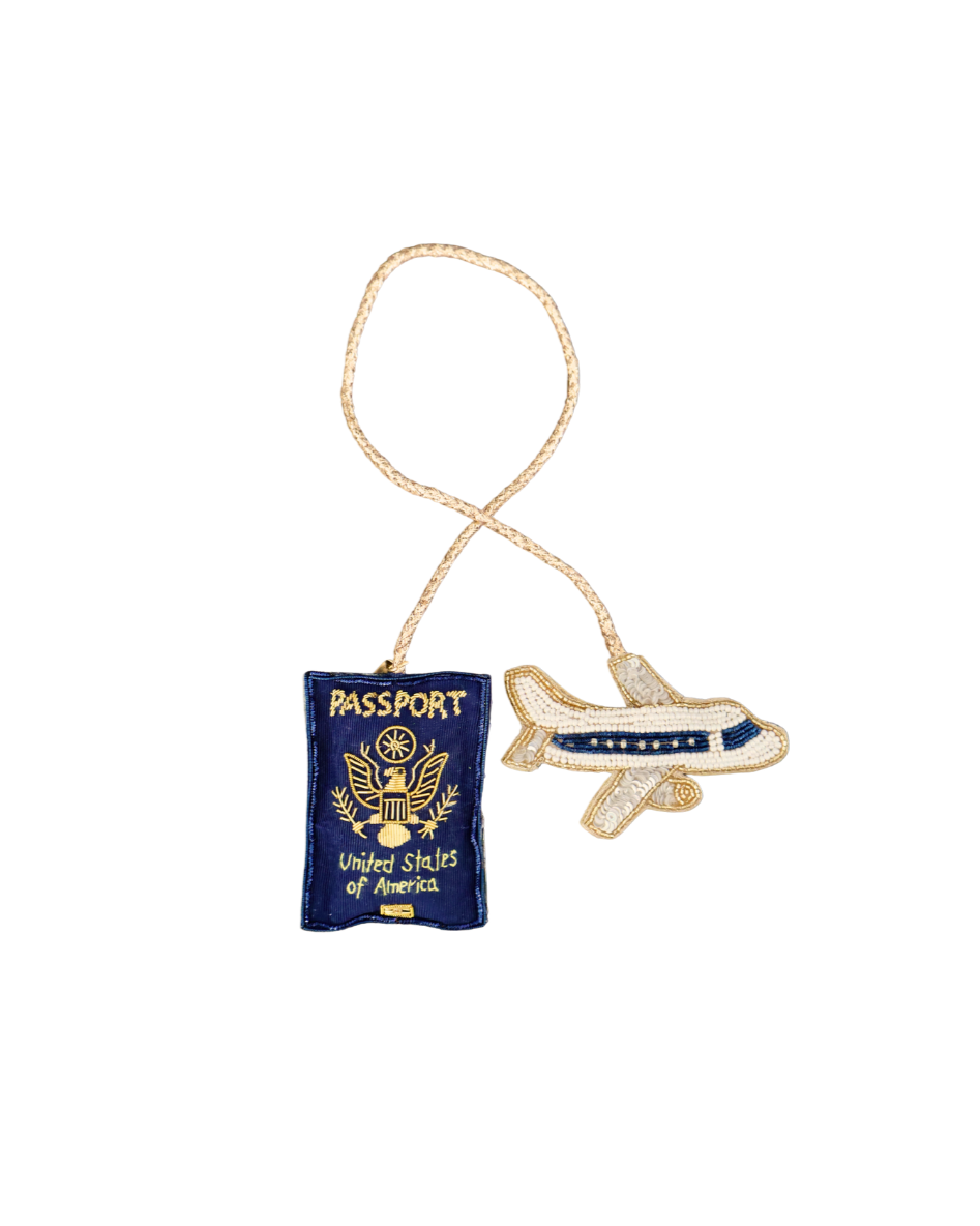 Passport & Plane Bag Charm