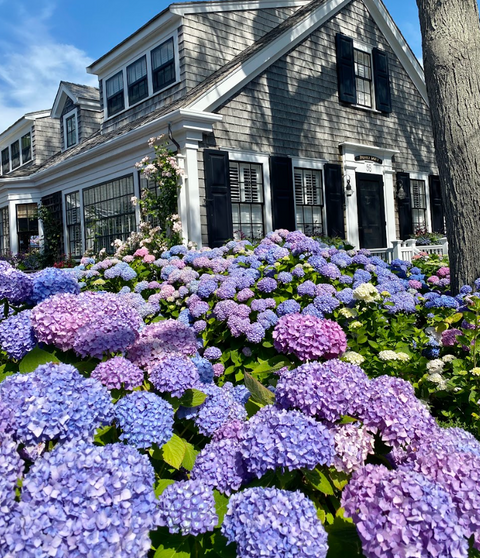 The Nantucket Collection | Beth Ladd Collections