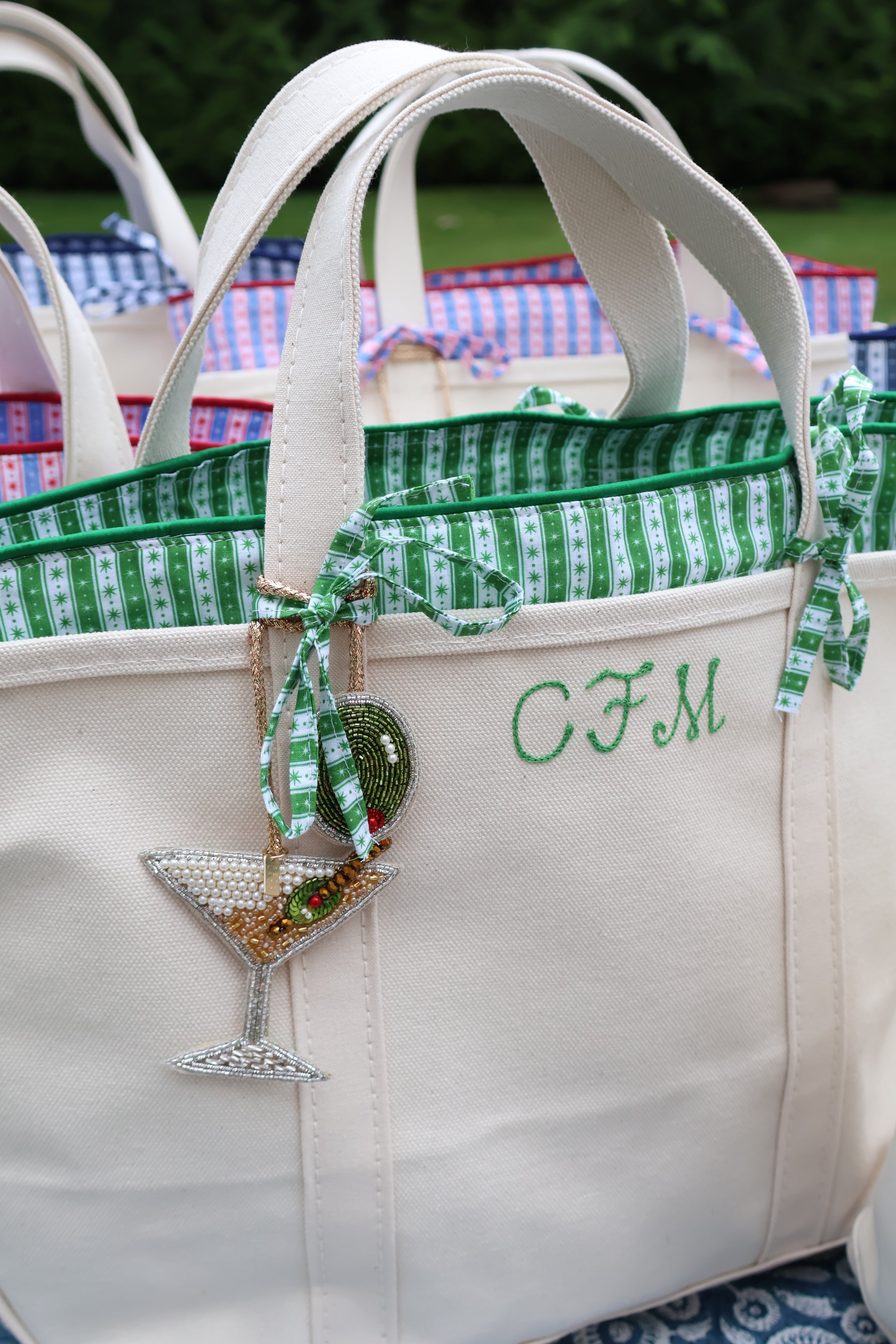 Medium Tote Insert in Green