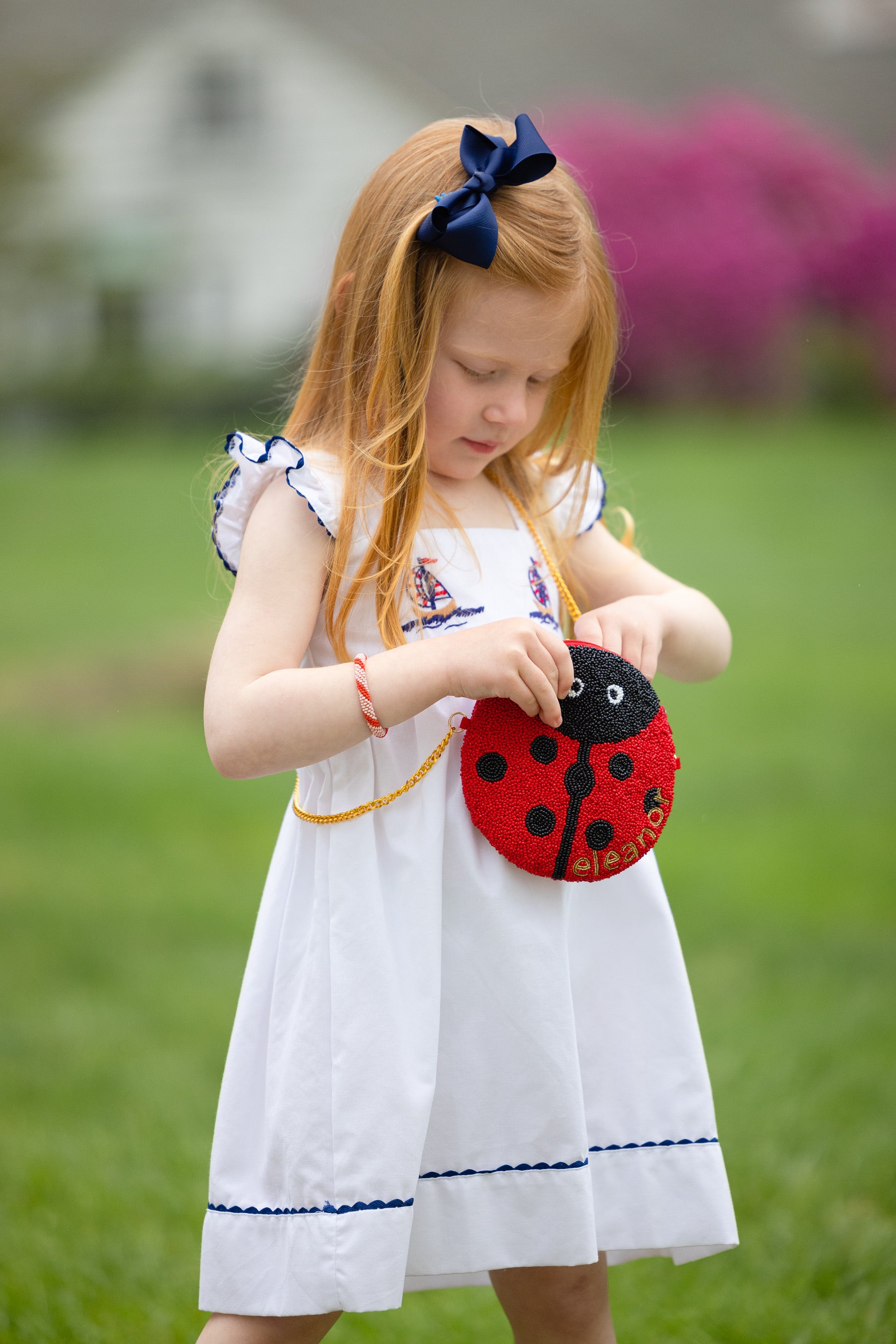 Custom Ladybug Bag